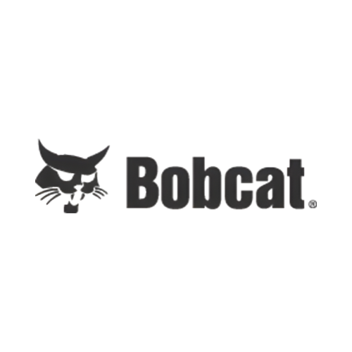 Bobcat
